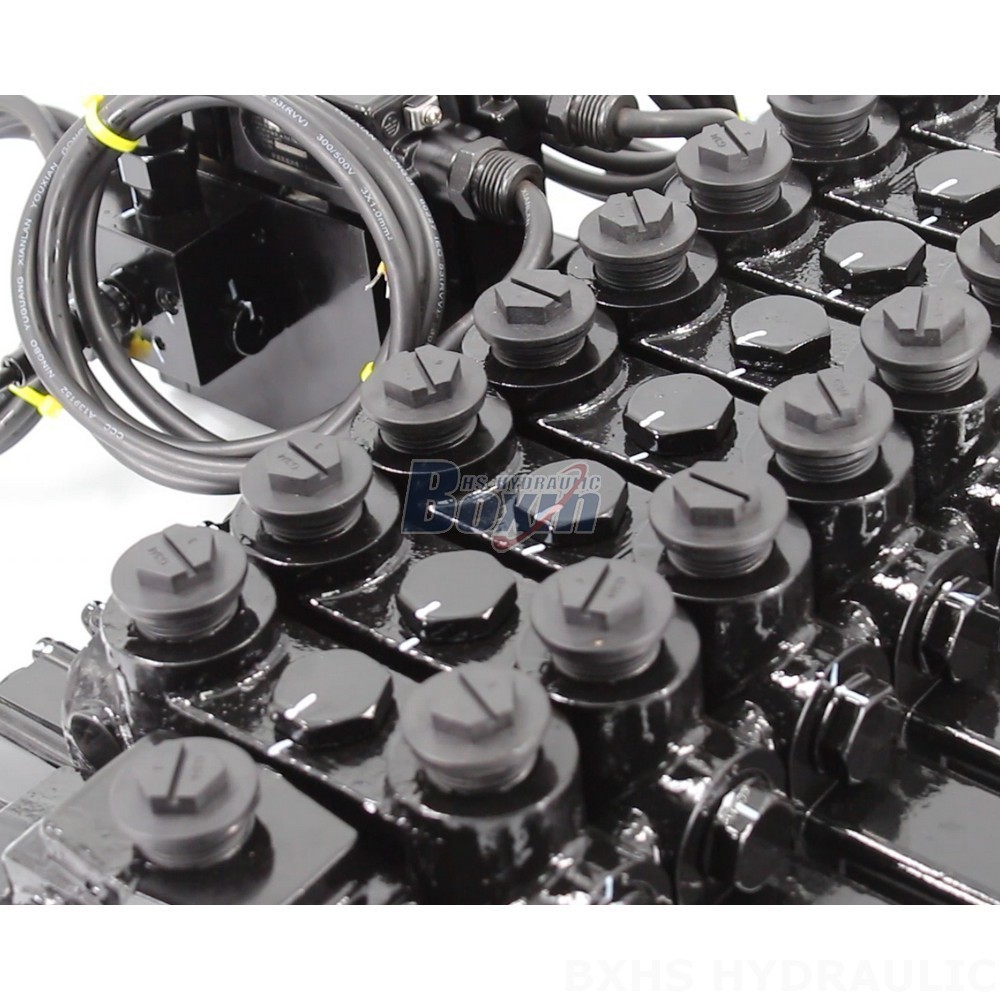 Customizable DCV150-10-NPT Hydraulic Valves - OEM, ODM & Private Label Services detail image